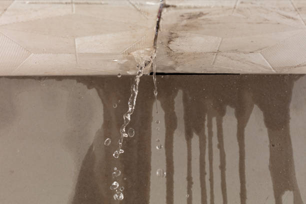 Professional Flood Damage Cleanup technician working in Burns, CO